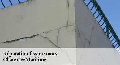 Réparation fissure murs