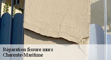 Réparation fissure murs