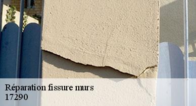 Réparation fissure murs