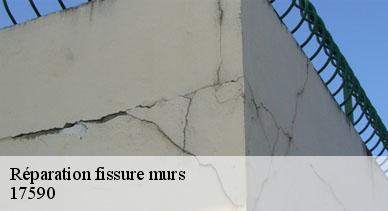 Réparation fissure murs