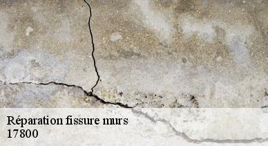 Réparation fissure murs