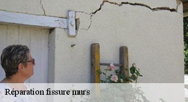 Réparation fissure murs