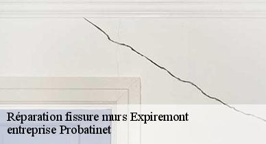 Réparation fissure murs