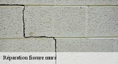 Réparation fissure murs