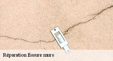 Réparation fissure murs