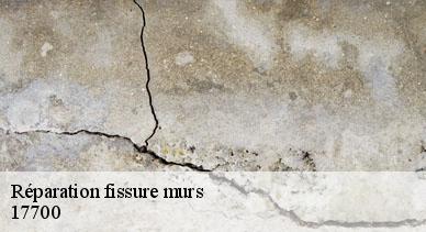 Réparation fissure murs