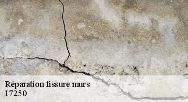 Réparation fissure murs