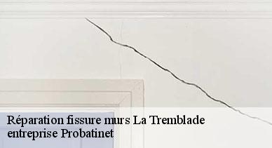 Réparation fissure murs