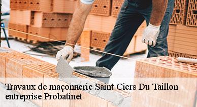 Travaux de maçonnerie