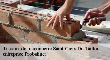 Travaux de maçonnerie