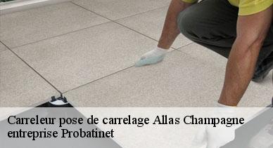 Carreleur pose de carrelage