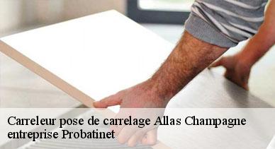 Carreleur pose de carrelage