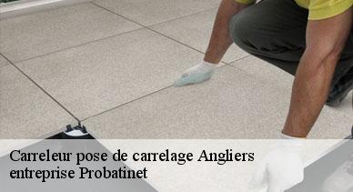 Carreleur pose de carrelage