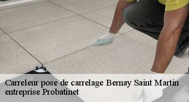 Carreleur pose de carrelage