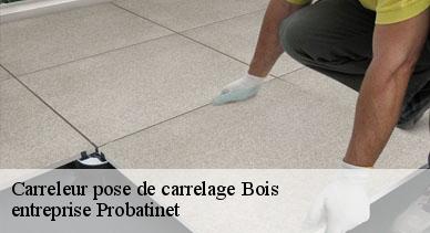 Carreleur pose de carrelage