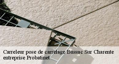 Carreleur pose de carrelage