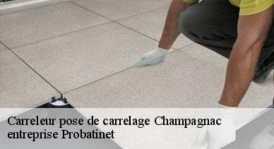 Carreleur pose de carrelage