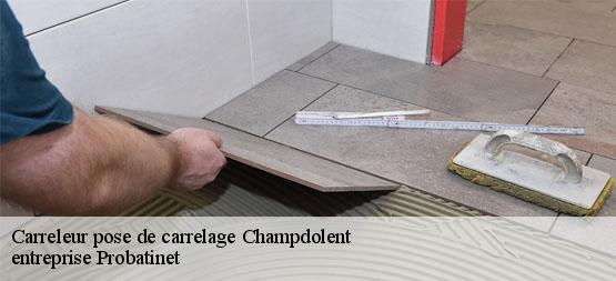 Carreleur pose de carrelage