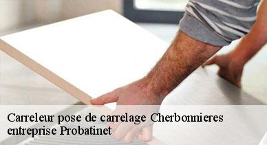 Carreleur pose de carrelage