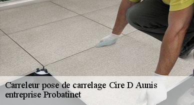 Carreleur pose de carrelage