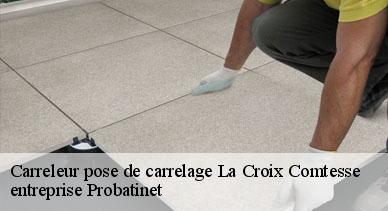 Carreleur pose de carrelage