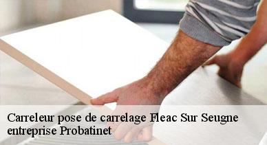 Carreleur pose de carrelage