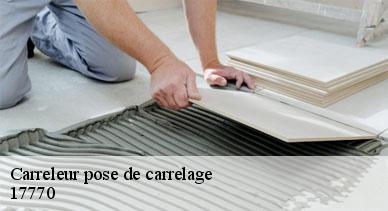 Carreleur pose de carrelage