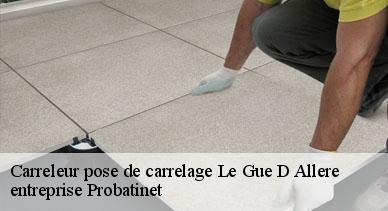 Carreleur pose de carrelage