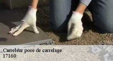 Carreleur pose de carrelage