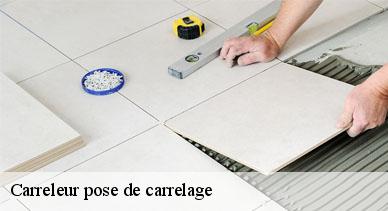 Carreleur pose de carrelage