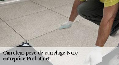 Carreleur pose de carrelage