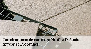 Carreleur pose de carrelage