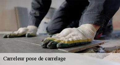 Carreleur pose de carrelage