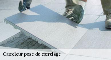 Carreleur pose de carrelage