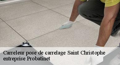 Carreleur pose de carrelage