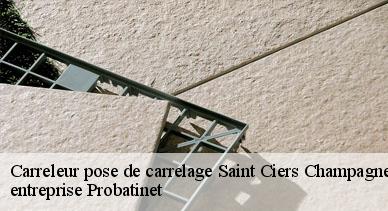 Carreleur pose de carrelage