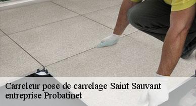 Carreleur pose de carrelage