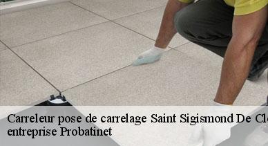 Carreleur pose de carrelage