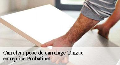 Carreleur pose de carrelage