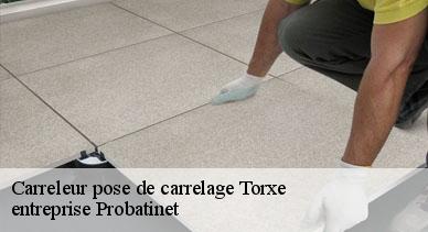 Carreleur pose de carrelage