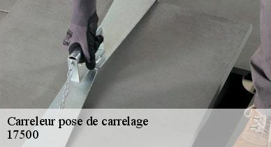 Carreleur pose de carrelage