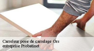 Carreleur pose de carrelage