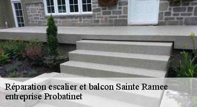 Réparation escalier et balcon