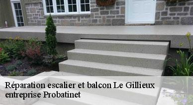 Réparation escalier et balcon