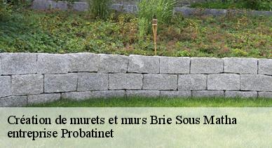 Création de murets et murs