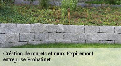 Création de murets et murs