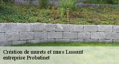 Création de murets et murs